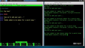 Importance Os Using Script Basics of Linux Scripting – Network and CyberSecurity Professional